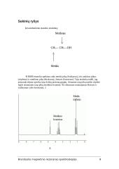 Branduolio magnetinio rezonanso spektroskopija 8 puslapis