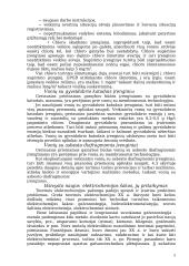 Korozijos ir elektrozinės ryšiai 5 puslapis