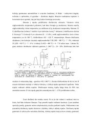 Naftos perdirbimas į degalus ir tepalus 2 puslapis