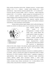 Naftos perdirbimas į degalus ir tepalus 5 puslapis