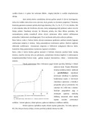Naftos perdirbimas į degalus ir tepalus 8 puslapis