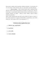 Naftos perdirbimas į degalus ir tepalus 9 puslapis