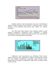 Ozono gerosios savybės 4 puslapis