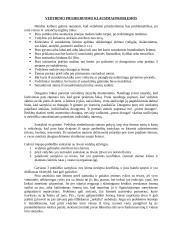 Viskas apie santuoką 2 puslapis