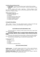 Socialinė politika. Glausta teorija 2 puslapis