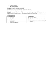 Socialinė politika. Glausta teorija 3 puslapis