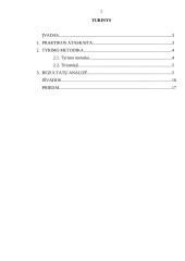 Vyturio vidurinės tyrimas 2 puslapis