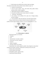 Vyturio vidurinės tyrimas 12 puslapis