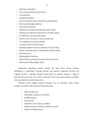 Vyturio vidurinės tyrimas 13 puslapis