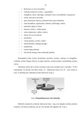 Vyturio vidurinės tyrimas 14 puslapis