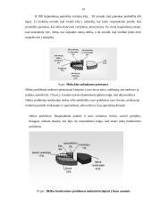 Vyturio vidurinės tyrimas 15 puslapis