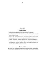 Vyturio vidurinės tyrimas 16 puslapis