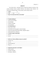 Vyturio vidurinės tyrimas 19 puslapis