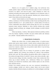 Vyturio vidurinės tyrimas 3 puslapis