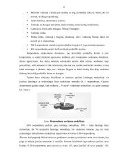 Vyturio vidurinės tyrimas 6 puslapis