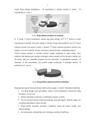Vyturio vidurinės tyrimas 7 puslapis