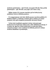 Europos ir Europos Sąjungos teorija 12 puslapis