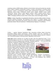 Europos Sąjunga - kas tai? 11 puslapis