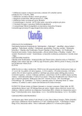 Europos Sąjunga - kas tai? 19 puslapis