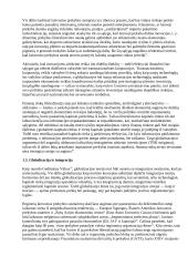Globalizacija ir Lietuvos ekonominė politika. Sąsajos 5 puslapis