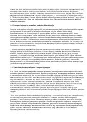 Globalizacija ir Lietuvos ekonominė politika. Sąsajos 7 puslapis