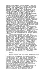 Rinkimų sistemos rytų Europoje ir Lietuvoje 6 puslapis