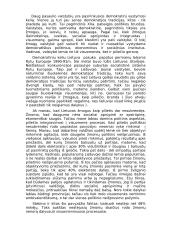 Valstybės politika 2 puslapis