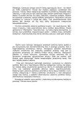 Valstybės politika 14 puslapis