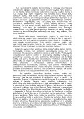 Valstybės politika 7 puslapis