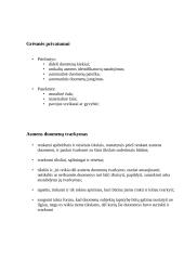 Asmens duomenų apsaugos reglamentavimas Lietuvoje 3 puslapis