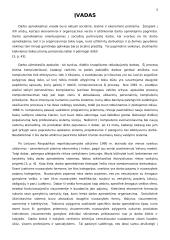 Darbo užmokesčio apskaita ir struktūra 3 puslapis