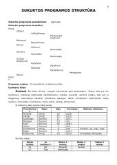 Darbo užmokesčio apskaita ir struktūra 9 puslapis