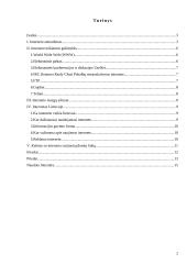 Internetas nuo A iki Z 2 puslapis