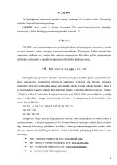 Internetas nuo A iki Z 8 puslapis