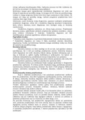 Projektavimo teorinė medžiaga 4 puslapis