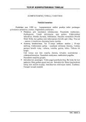 TCP-IP kompiuteriniai tinklai 4 puslapis