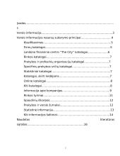 Verslo informacija 2 puslapis