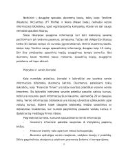 Verslo informacija 13 puslapis