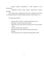 Verslo informacija 15 puslapis