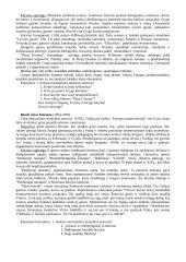 Kompozitoriai. Muzikos stiliai 2 puslapis