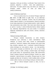 Istorinė žmogaus būtis 2 puslapis