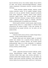 Istorinė žmogaus būtis 4 puslapis