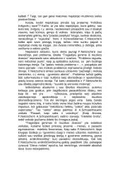 Nyčės knygos tragedijos gimimas 3 puslapis