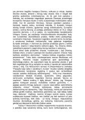 Nyčės knygos tragedijos gimimas 8 puslapis