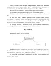 Baudžiamoji teisė: baudos ir nužudymai 3 puslapis