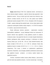 Turtinio pobūdžio bausmės 14 puslapis