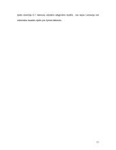 Turtinio pobūdžio bausmės 19 puslapis