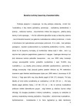 Turtinio pobūdžio bausmės 4 puslapis