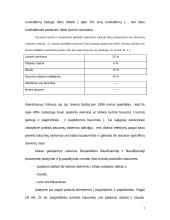 Turtinio pobūdžio bausmės 5 puslapis