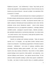 Turtinio pobūdžio bausmės 6 puslapis